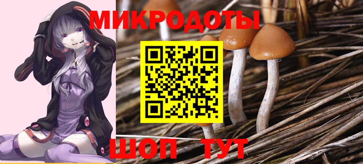 Псилоцибиновые грибы ЛСД Изобильный