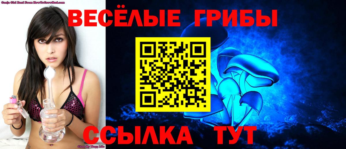 Галлюциногенные грибы Psilocybe  Вход с VPN  Изобильный 